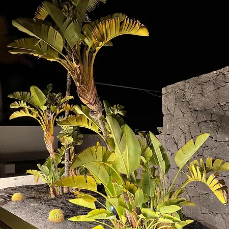 Dedalos - Spacious Luxury With Heated Pool In * Puerto Calero
